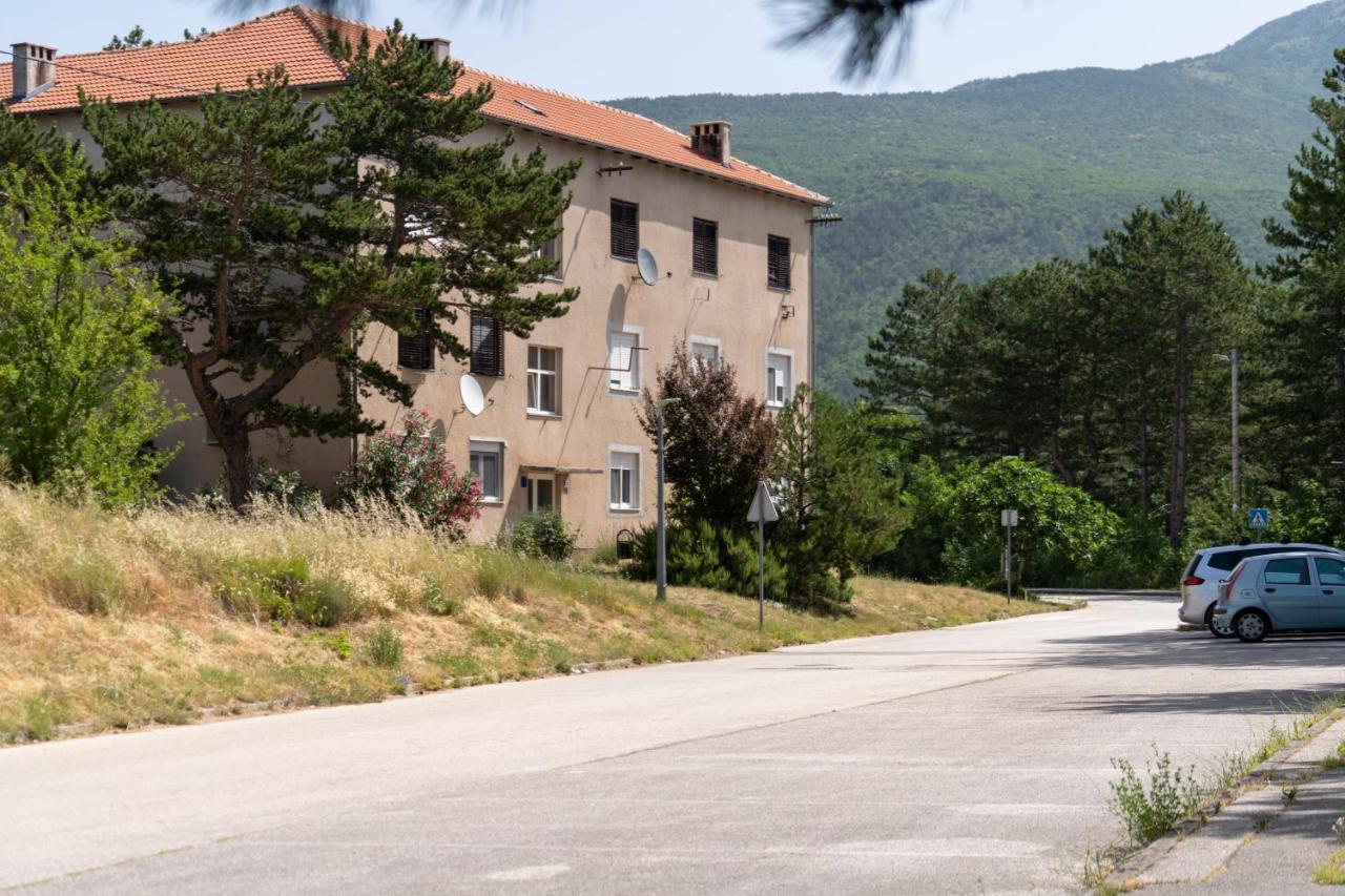 Apartment Curcic